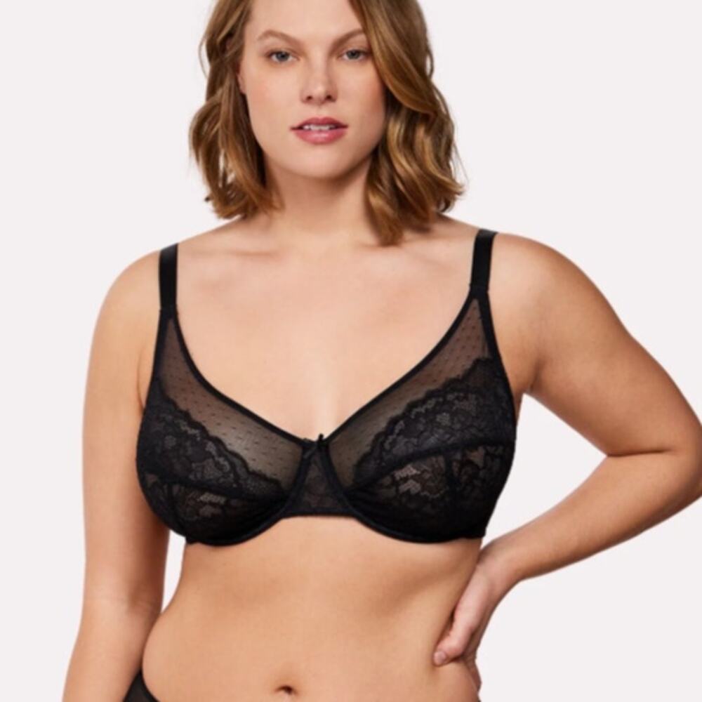 HSIA Enchante Lace Underwire Bra Black NWT 34G Sheer Mesh